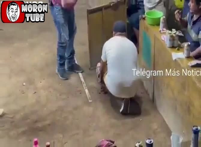 Video :An unfortunate cockfight occurs when a bird amputates its owner's leg